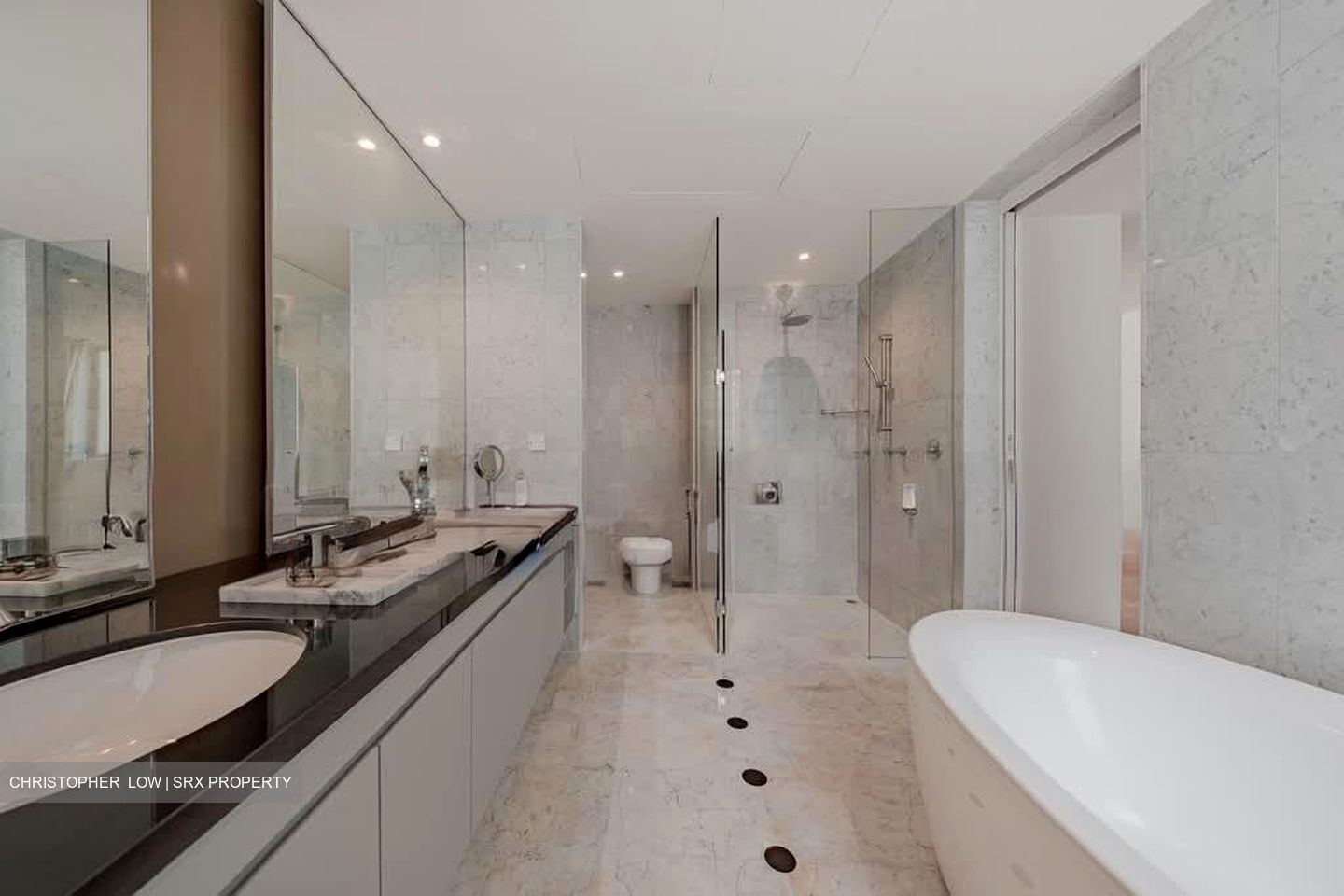 Draycott Eight (D10), Condominium #564556081